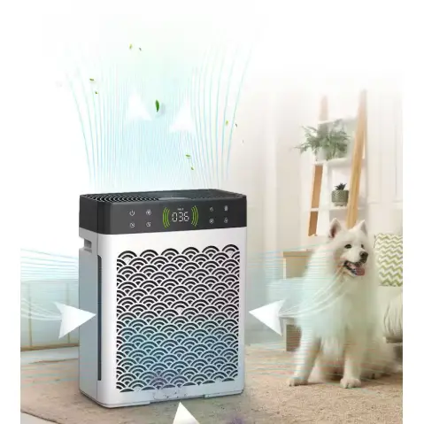 Purifiers Aeir UV le Scagairí Carbóin Gníomhachtaithe